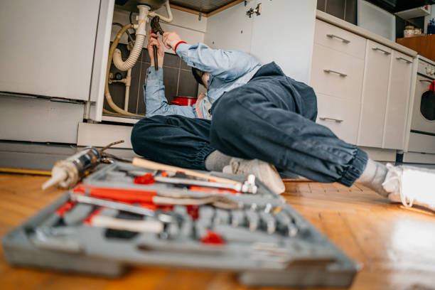 Best Boilers & Radiators  in Camanche, IA