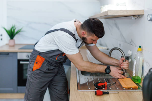 Best Clogged Drain Plumber  in Camanche, IA