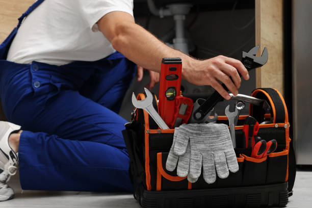 Best Local Plumber Services  in Camanche, IA